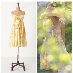 Anthropologie HD in Paris Dress